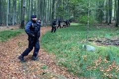 Osmiletou německou dívku, která se ztratila v lese na Domažlicku, nalezl hajný