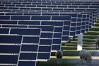 Soud v Brně odročil případ podvodu se solární elektrárnou, obžalovaný má zdravotní problémy