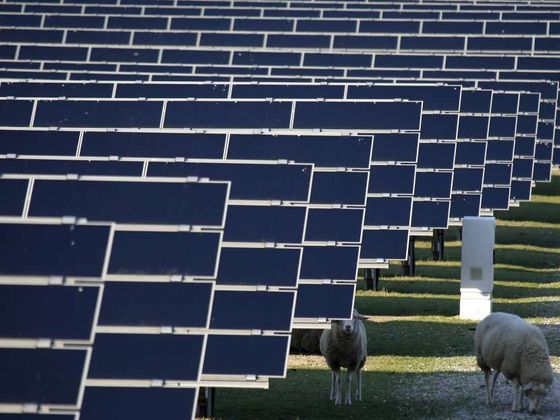 Seznam firem, na které podal šéf žalobců Pavel Zeman žalobu Solární elektrárny