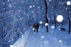 Živě: Do Česka dorazila zima. Na západě země vydatně sněží, jinde se začíná tvořit náledí