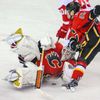 NHL: Detroit Red Wings vs. Calgary Flames