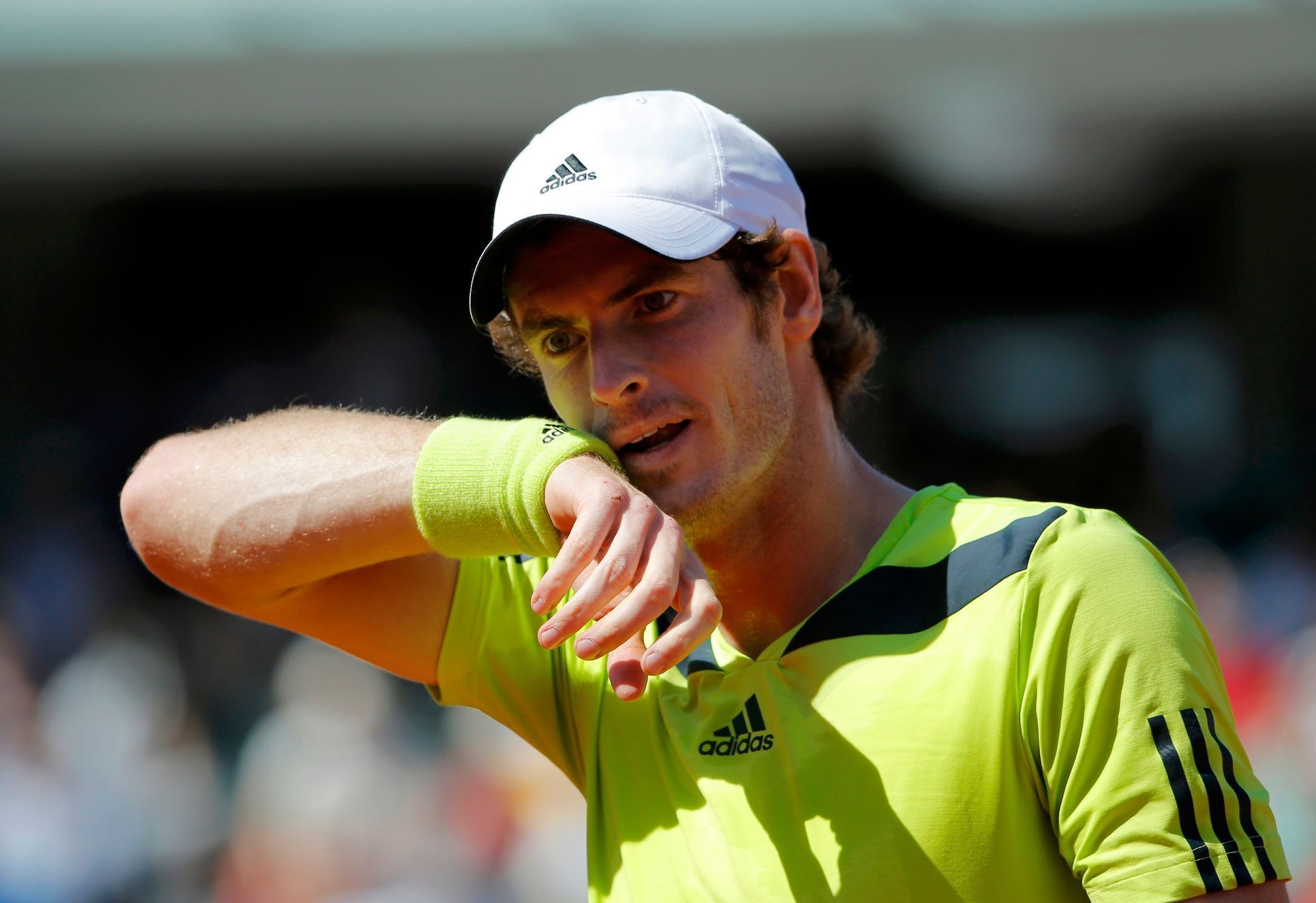 Andy Murray na French Open 2014