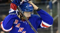 NHL 2018/19, NY Rangers, Libor Hájek, příprava