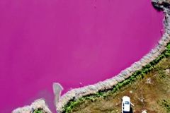 Růžová jezera v Argentině mohla kontaminovat barva na krevety, varují ekologové