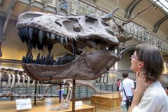 Zloděj v pařížském muzeu uřízl kel z kostry slona