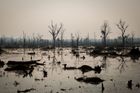 Ničivé záplavy a hromadné kácení lesů. Kambodžané zápasí s klimatickými změnami, pomáhají jim Češi