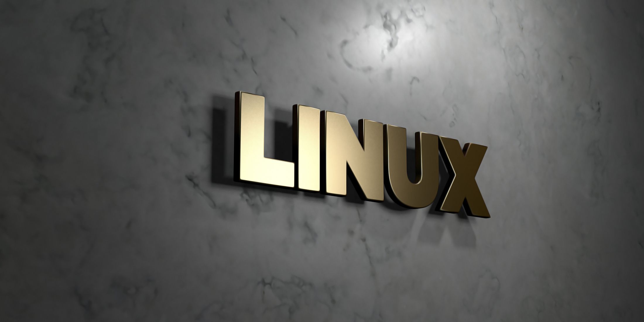Linux / Opereční systém / Počítače / OS / Ilustrační foto / Shutterstock / 3