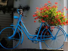 Zahrada na kolech: Staré bicykly nechte zarůst květinami