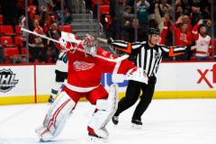 Mrázek v NHL vychytal Detroitu výhru, Neuvirth střídal