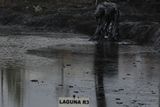 V lagunách zbývají desítky tisíc tun nebezpečného odpadu,...