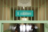 Kapacita oddělení K 9 nestačí. V českých věznicích je několik stovek odsouzených za sexuální trestné činy