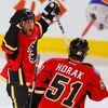 Hokej, NHL: Steve Begin a Roman Horák (Calgary)