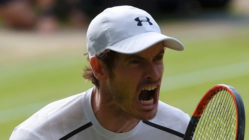 Andy Murray v semifinále Wimbledonu 2016.