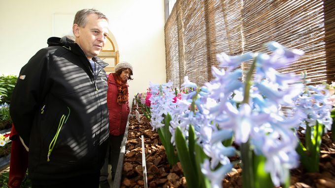 Foto: Předjaří v Královské zahradě. Hrad ukazuje stovky kvetoucích hyacintů i přenosný záchod