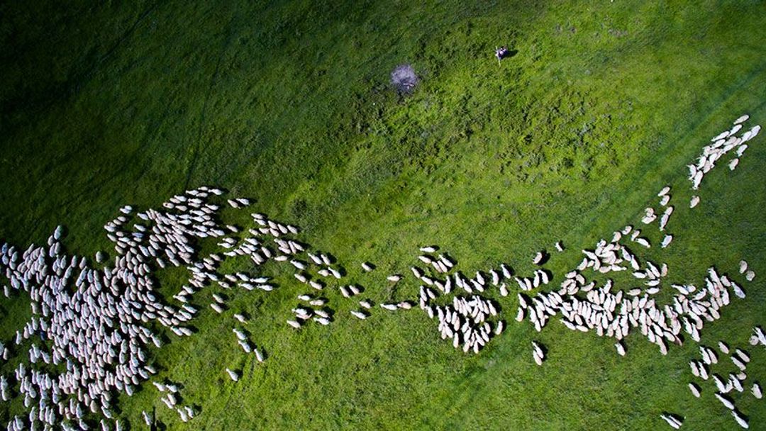 GALERIE: Země z ptačí perspektivy - nejlepší fotky zachycené drony