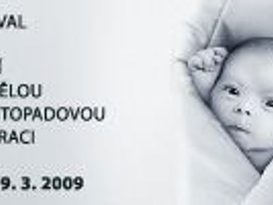 Kina festivalu JS jeden svět 2009