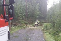 ČEZ: Kalamita po bouřce trvá už jen v okrese Ústí nad Orlicí