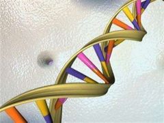 DNA o nás nese vskutku hodně informací.