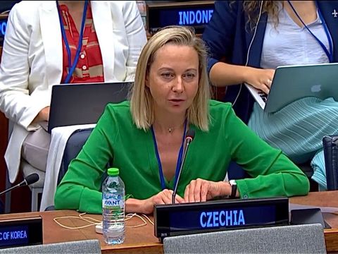 Tajné služby i vývoz zbraní. Bezpečnostní politiku v Černínu bude poprvé řídit žena