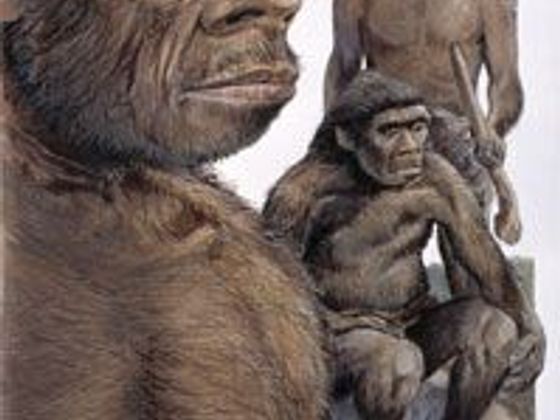 Infobox Neandertálec