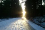 Sobota, 18. ledna 2014. Z pátka na sobotu mělo sněžit až od 1100 m.nm., jinak mělo pršet. Ale běžkovat se obstojěn dalo i v necelých 900 m.n.m. A k tomu svítí sluníčko.