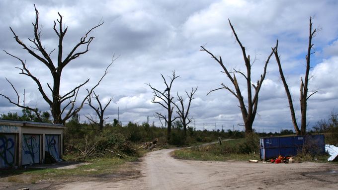 Obrazem: Krajina jako po válce. Stromy jsou dalšími oběťmi tornáda, chystá se obnova