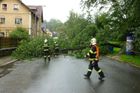 Silný vítr v Česku lámal stromy, zastavil vlaky a desítky lidí odřízl od elektřiny