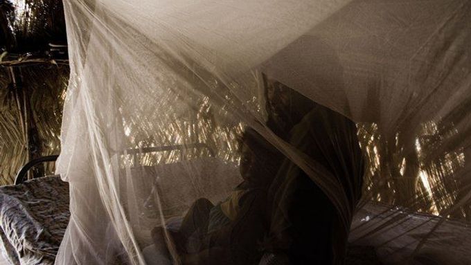 Niger. Matka s dítětem leží pod moskytiérou s insekticidem.