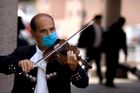 Globální ekonomika čelí nové hrozbě: prasečí chřipce