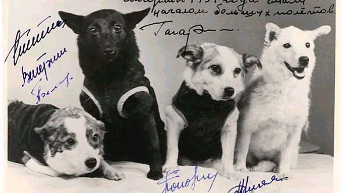 FOTO Toto jsou vesmírní psí hrdinové. Voříšci z ruských ulic