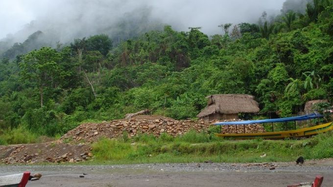 Důležitou roli v boji s globálním oteplováním hraje zachování amazonských deštných pralesů.