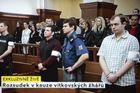 Žháři z Vítkova vzdorují, případ míří k Ústavnímu soudu