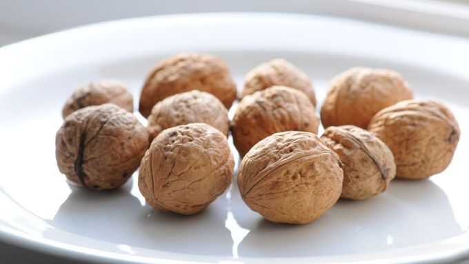 Při výzkumu ořechů objevili vědci náhodu "rostlinný aspirin"