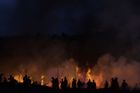 Na 2400 kilometrů čtverečních porostů sežehly požáry v 17 přírodních rezervacích v Brazílii. Do jejich likvidace se podle brazilského tisku zapojilo více než 1600 hasičů i dobrovolníků.