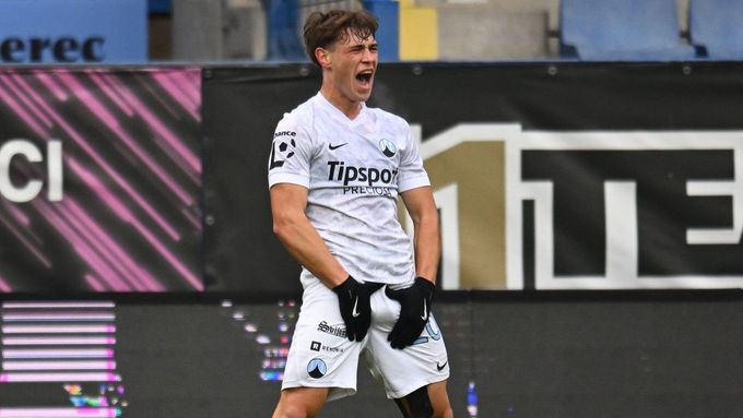 Ermin Mahmic, FC Slovan Liberec