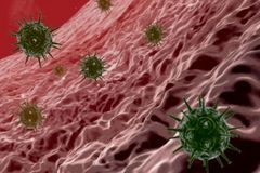 HIV se v těle skrývá v kostní dřeni, tvrdí nová studie