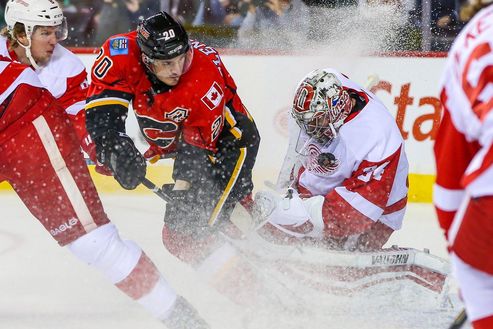 NHL: Detroit Red Wings vs. Calgary Flames (Petr Mrázek)