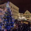 Vánoční stromy - Český Krumlov
