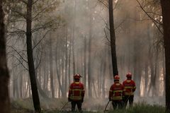 Německo a Rakousko čelí vlně veder. Meteorologové varují před lesními požáry