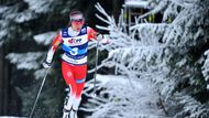 SP v běhu na lyžích NMnM (2020), stíhačka žen: Heidi Wengová