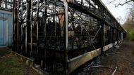 Krefeld požár zoo opice pavilon