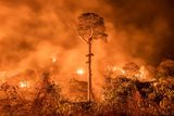 Charlie Hamilton James (Spojené království): Hořící Amazonie. Jeden ze snímků oceněných v kategorii Fotožurnalismus. Požár pralesa v severovýchodní Brazílii. 
(Zrcadlovka Canon EOS-1D X Mark II, objektiv 24-105 mm, 1,6 s,  f/4, ISO 3200).
