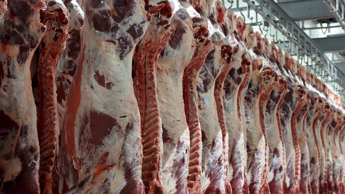 Je paradox, že naše maso je kvalitní, ale proti jiným zemím jako Polsko vyrábíme dráž, je to dané dotační politikou, říká šéf Amaso