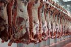 Kauza závadné maso: Vedete kampaň proti polským potravinám, vyčítá ministr Čechům