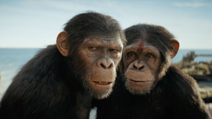 Film Království Planeta opic obrací perspektivu. Centrem pozornosti nečiní lidi, ale opice. Na snímku jsou Owen Teague jako Noe a Sara Wiseman v roli Dar.