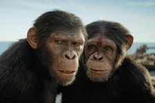 Recenze: Boj o planetu opic pokračuje. Nový film ukazuje Zemi z opičí perspektivy