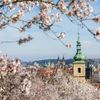 Předčasné jaro v Praze, březen 2024