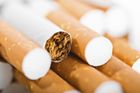 Za pašování 10 milionů cigaret poslal soud muže na šest let do vězení