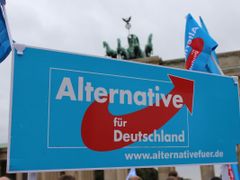 AfD slaví, ve volbách dosáhla skvělého výsledku. Ať už se do Bundestagu dostala, nebo ne.
