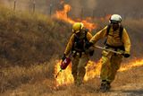 Požáry požírají kalifornské lesy už týden.